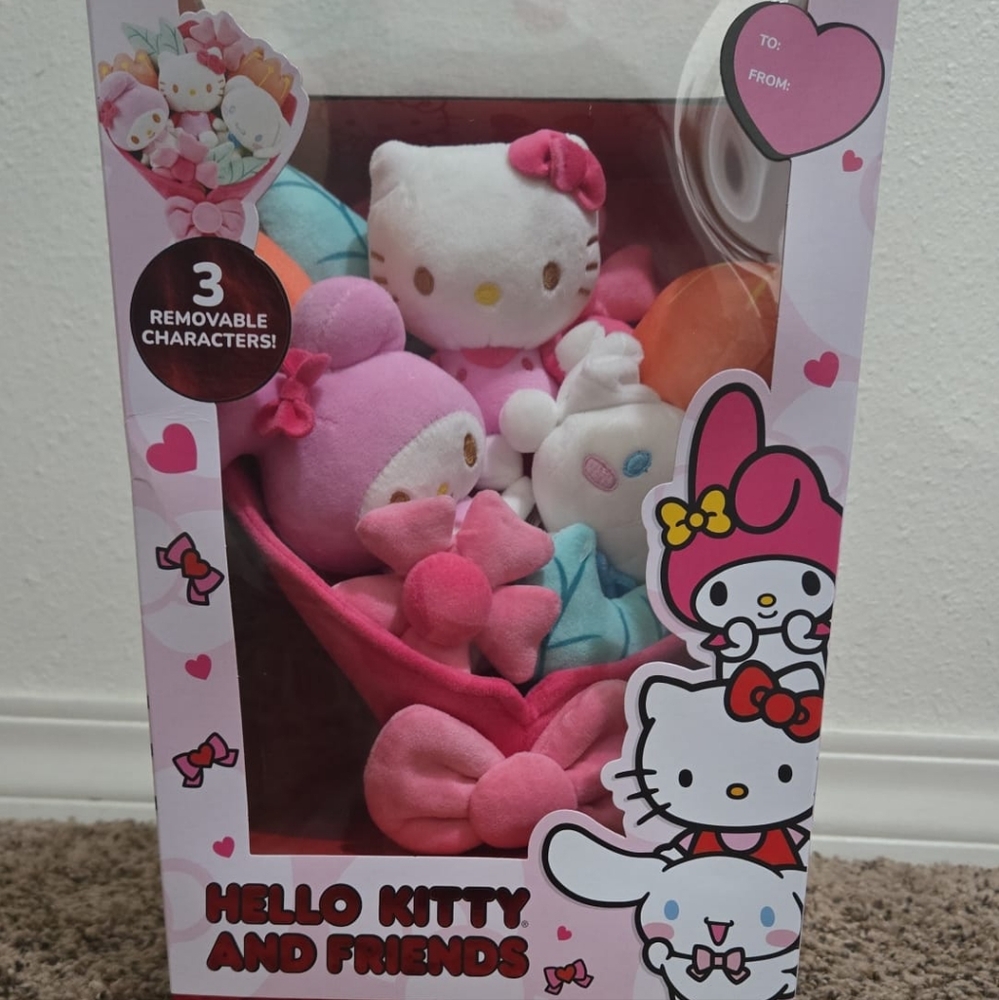 Hello Kitty and Friends - Valentine’s Bouquet - NIB